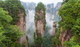 张家界吃瓜最新事件爆料,揭秘背后惊人真相