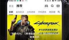 小黑盒最新爆料网站下载,揭秘神秘网站下载背后的秘密