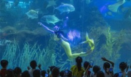 长沙美人鱼爆料视频最新,神秘水下生物真实面目曝光